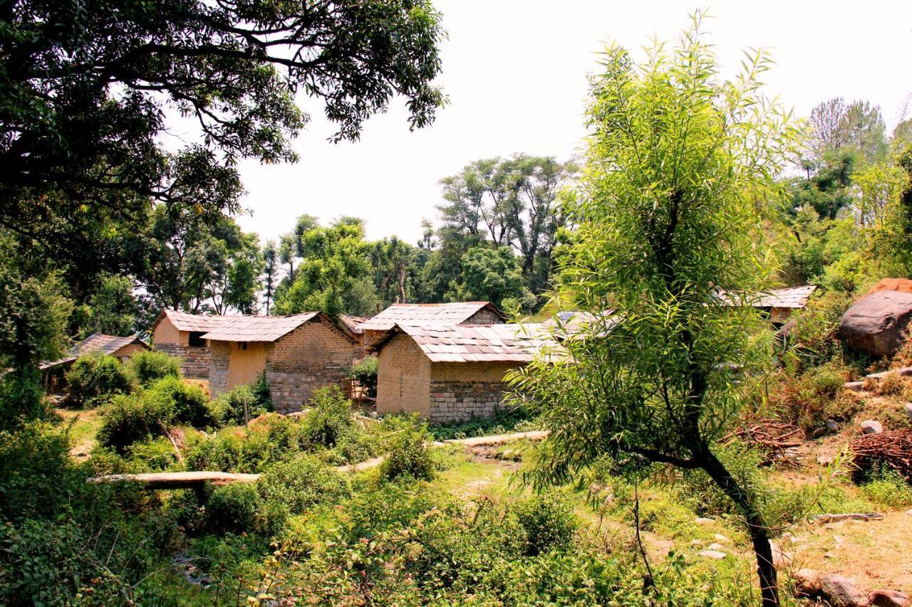 Prakriti Aalay - Riverside Mountain View Boutique Eco Resort 다람샬라 외부 사진