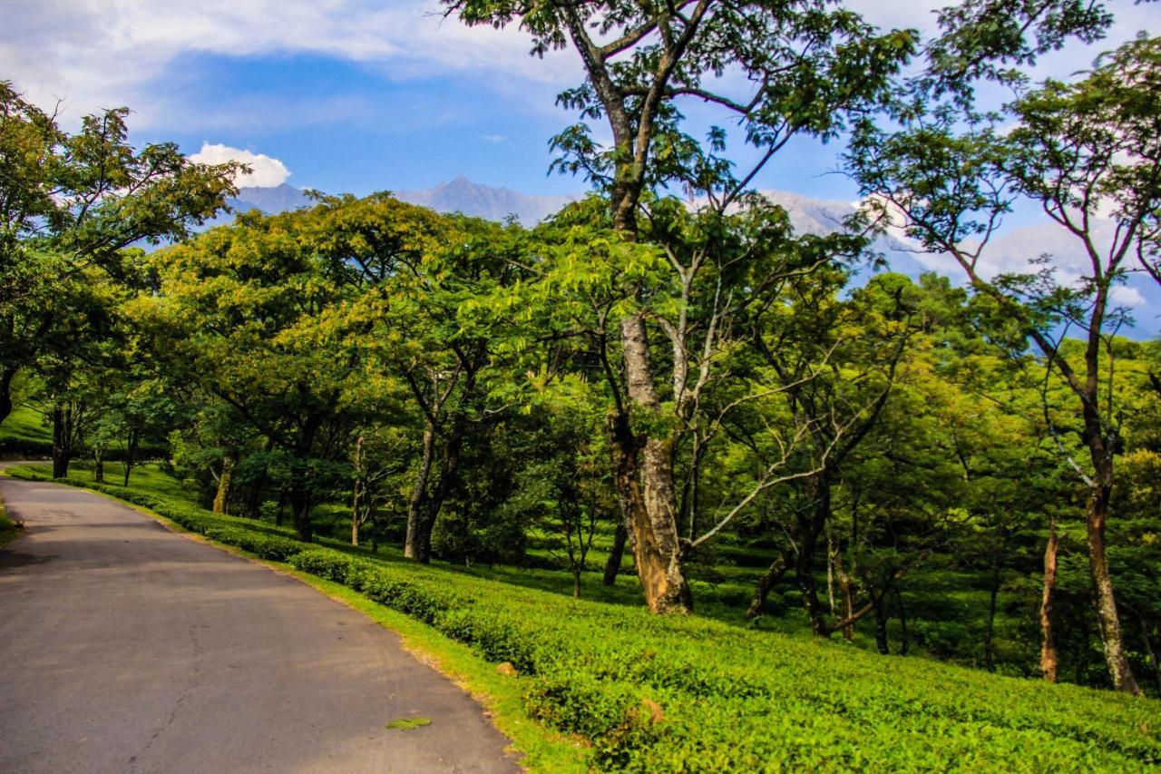 Prakriti Aalay - Riverside Mountain View Boutique Eco Resort 다람샬라 외부 사진