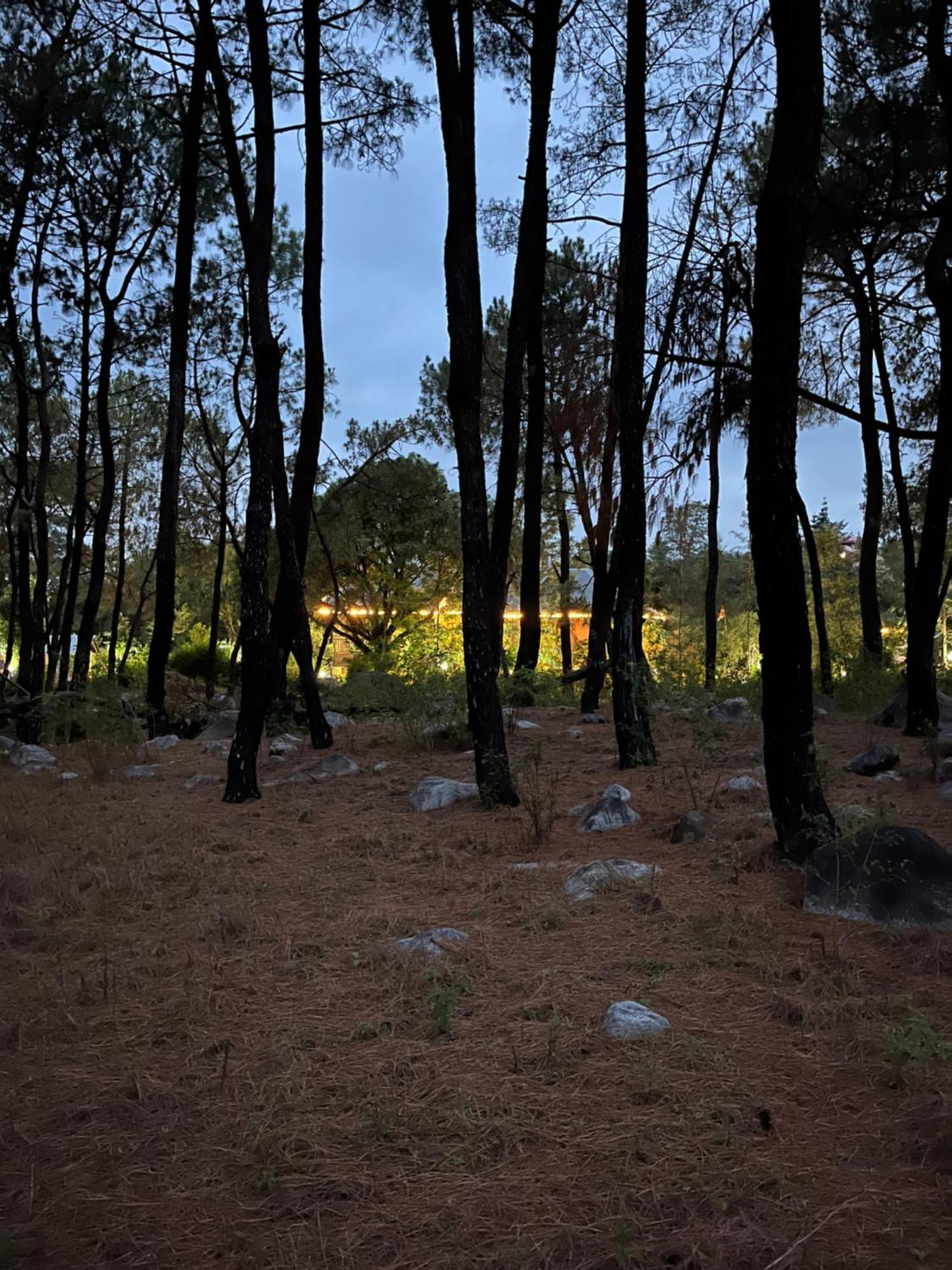 Prakriti Aalay - Riverside Mountain View Boutique Eco Resort 다람샬라 외부 사진