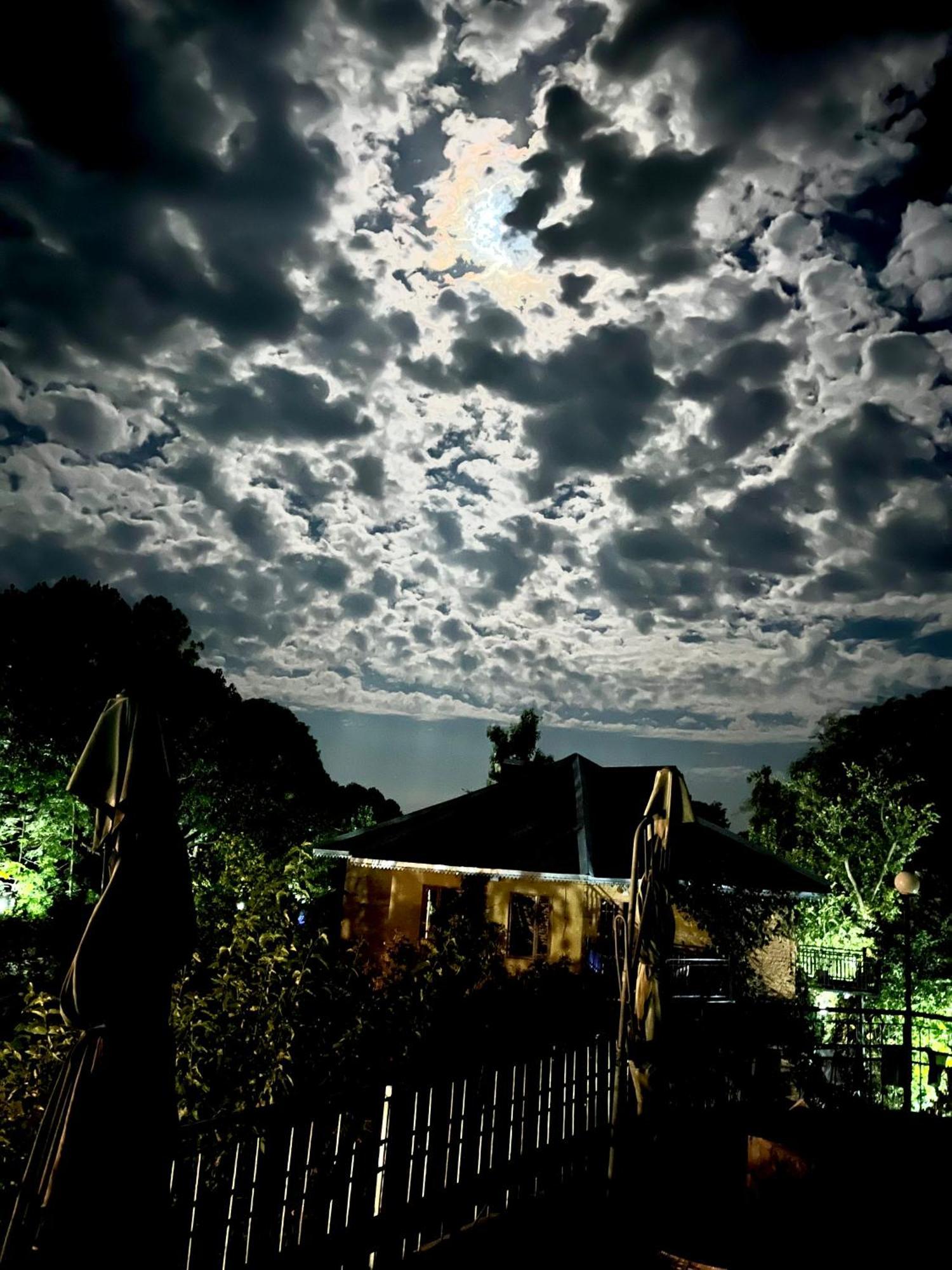 Prakriti Aalay - Riverside Mountain View Boutique Eco Resort 다람샬라 외부 사진