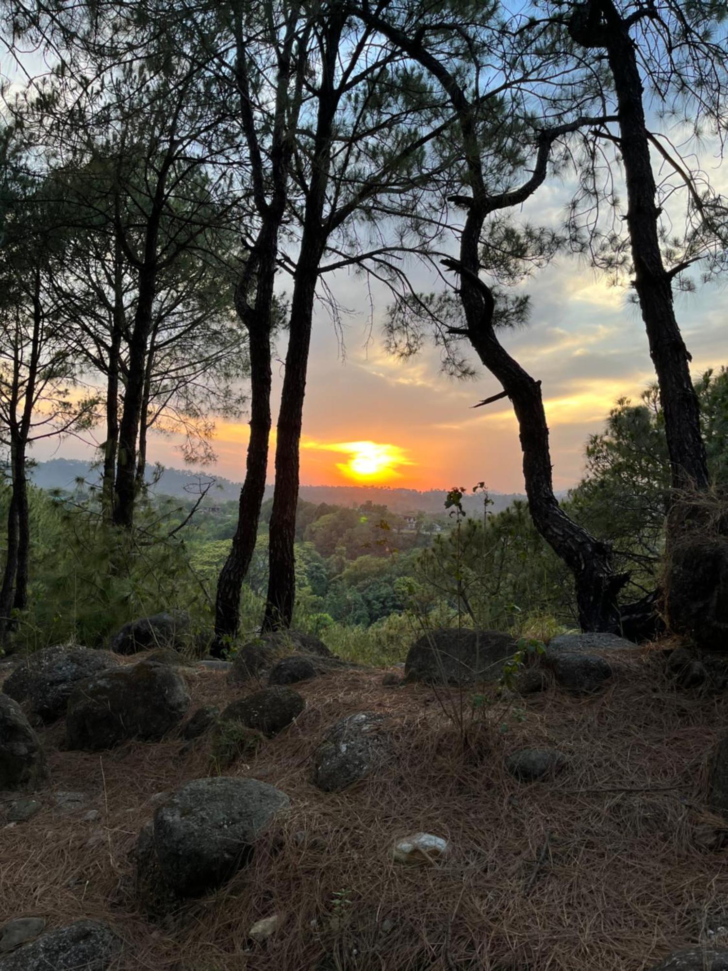 Prakriti Aalay - Riverside Mountain View Boutique Eco Resort 다람샬라 외부 사진